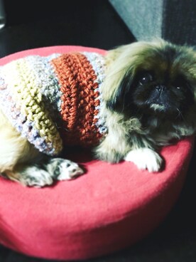 chakku さんのコーディネート