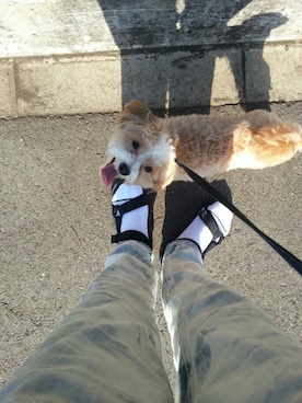 Rさん（メンズ・175cm）の秋コーディネート