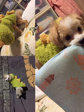 Rさんのコーディネート