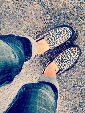 203さんのコーディネート