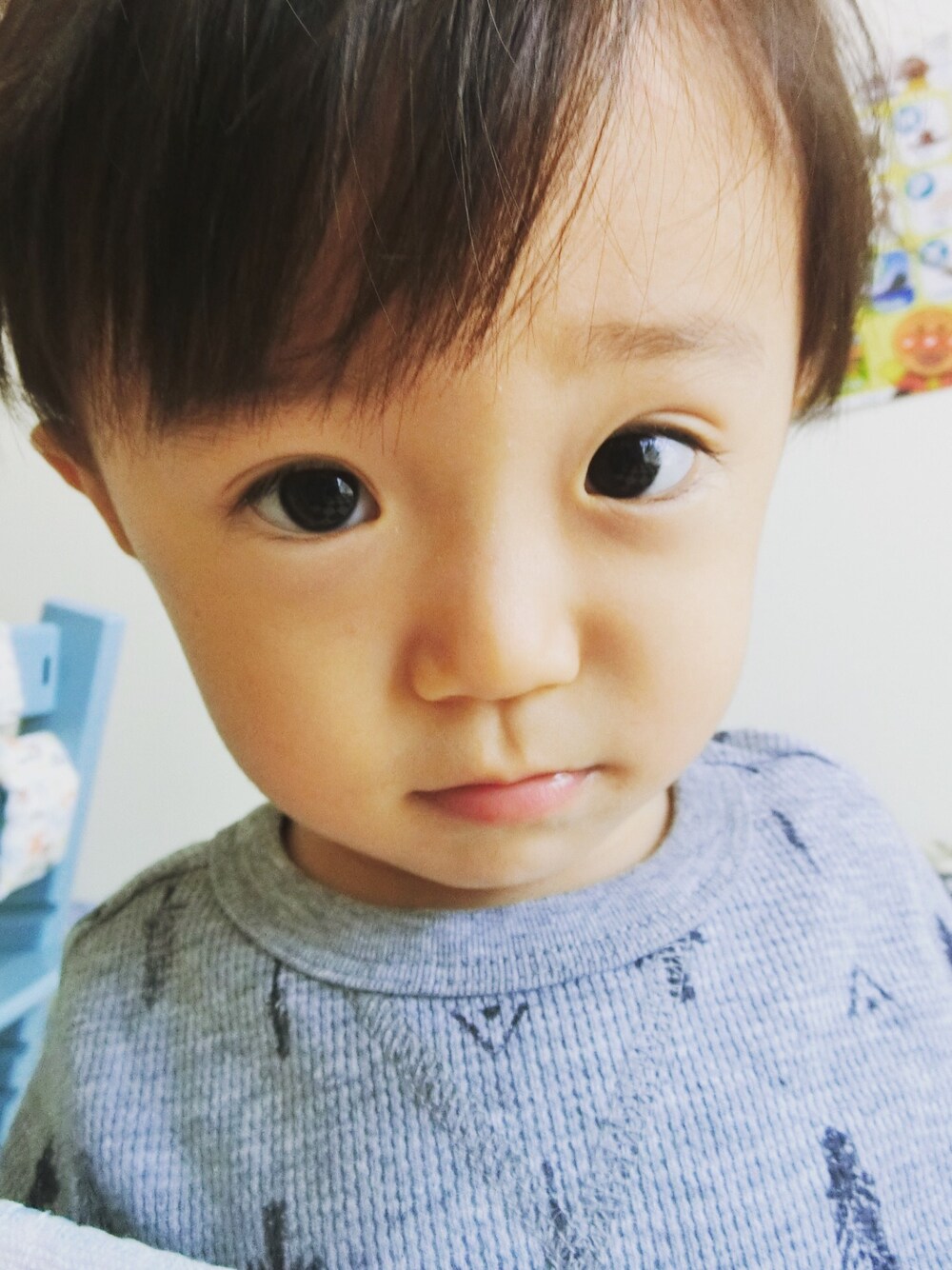 「2歳、息子、男の子」｜「OLD NAVYのアイテム（Tシャツ/カットソー、グレー系）」を使った、ponta2014さん（キッズ・90cm）の秋コーディネートの1枚目の写真