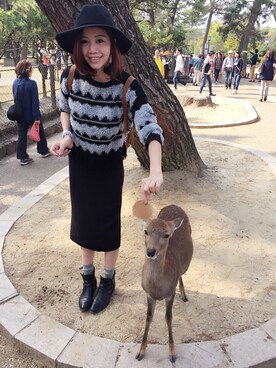 Joyさんのコーディネート