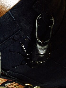 やまむらしょへさんのコーディネート