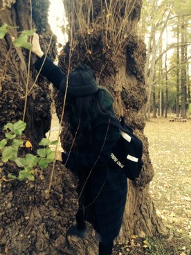 ちゃんたーさんのコーディネート