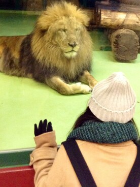 ちゃんたーさんのコーディネート