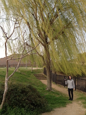 じょんさんのコーディネート