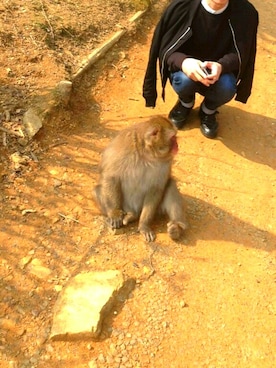 なおとさんのコーディネート