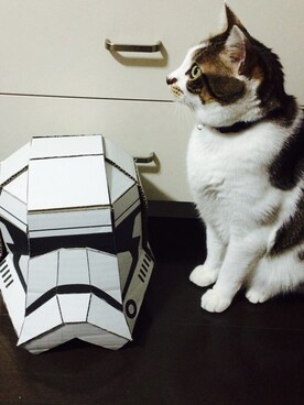 「ストームトルーパー」｜ゆうべさん（レディース・157cm）の冬コーディネート
