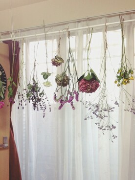 atmcさんのコーディネート