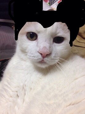 「アイテム（福袋/福箱）」を使った、こうすけ さん（メンズ・171cm・20代）の秋コーディネート