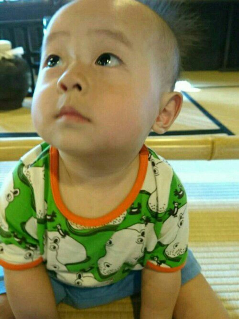 「男の子、０歳、カバさん、smafolk、Combi mini」｜「Smafolkのアイテム（Tシャツ/カットソー、グリーン系）」を使った、りさん（キッズ・70cm）の秋コーディネートの1枚目の写真