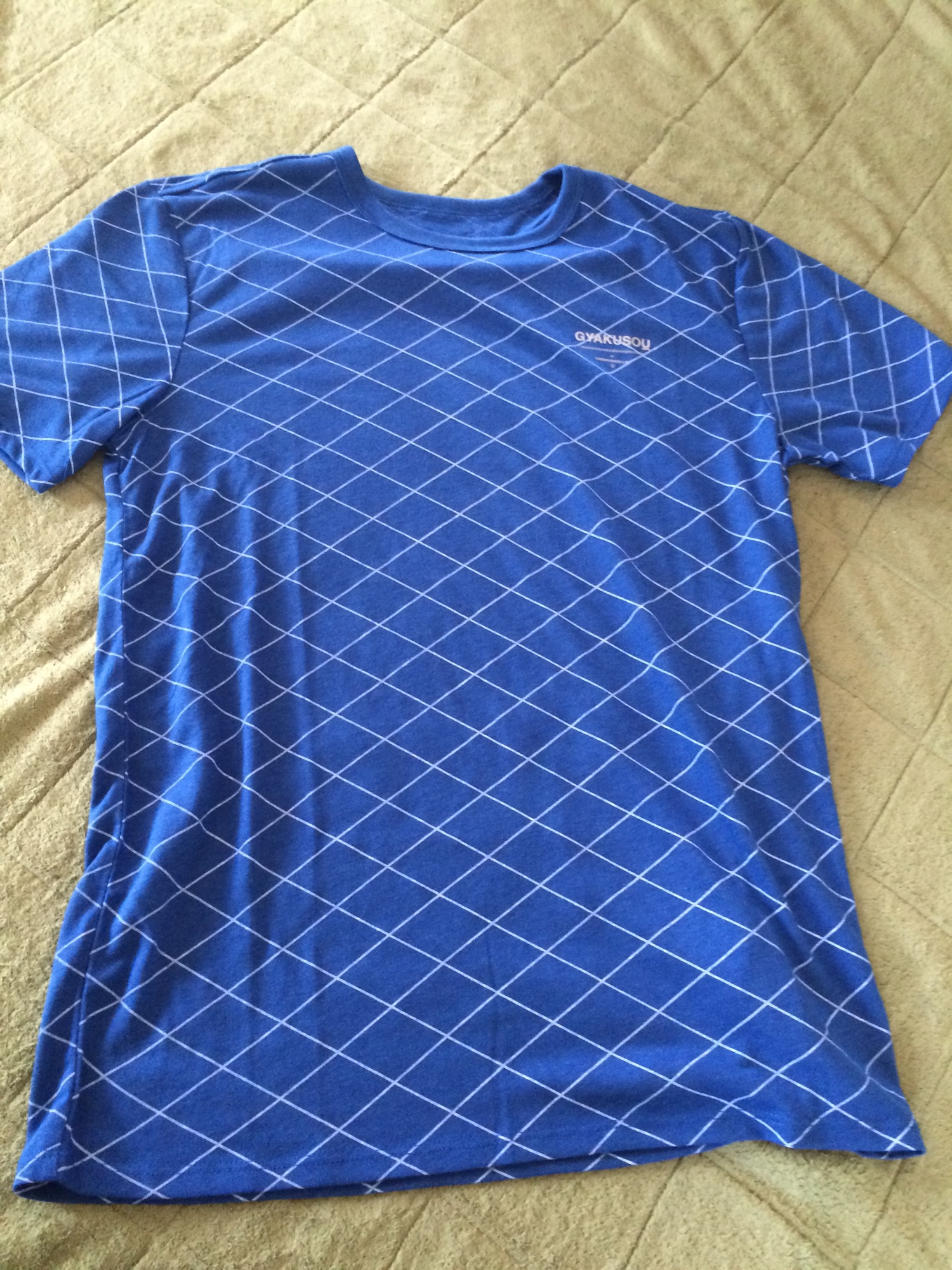 GYAKUSOU（ギャクソウ）の「NIKE（ナイキ） GYAKUSOU グラフィック S