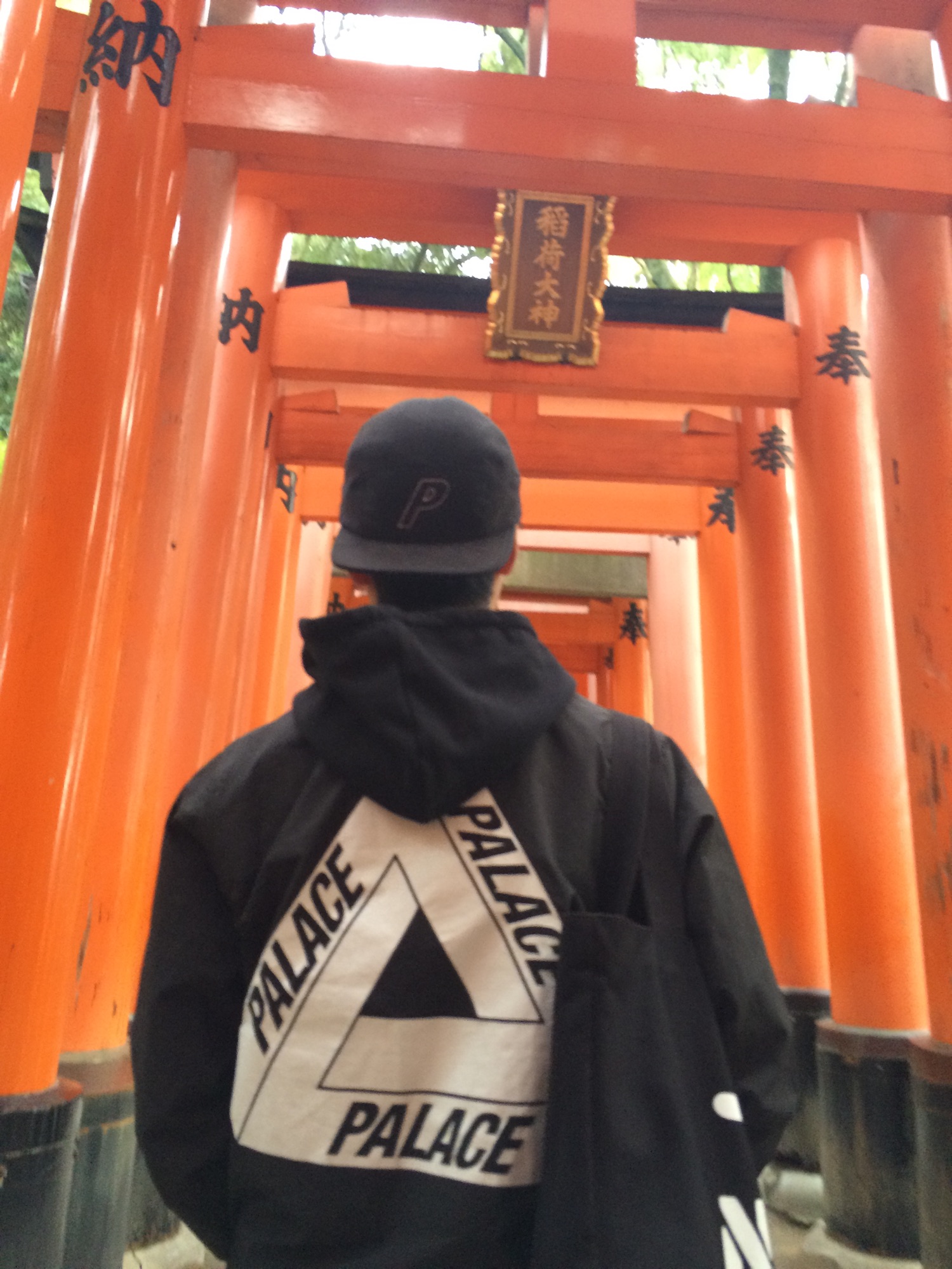 マウンテンパーカーを使った「palace skateboards」の人気ファッション