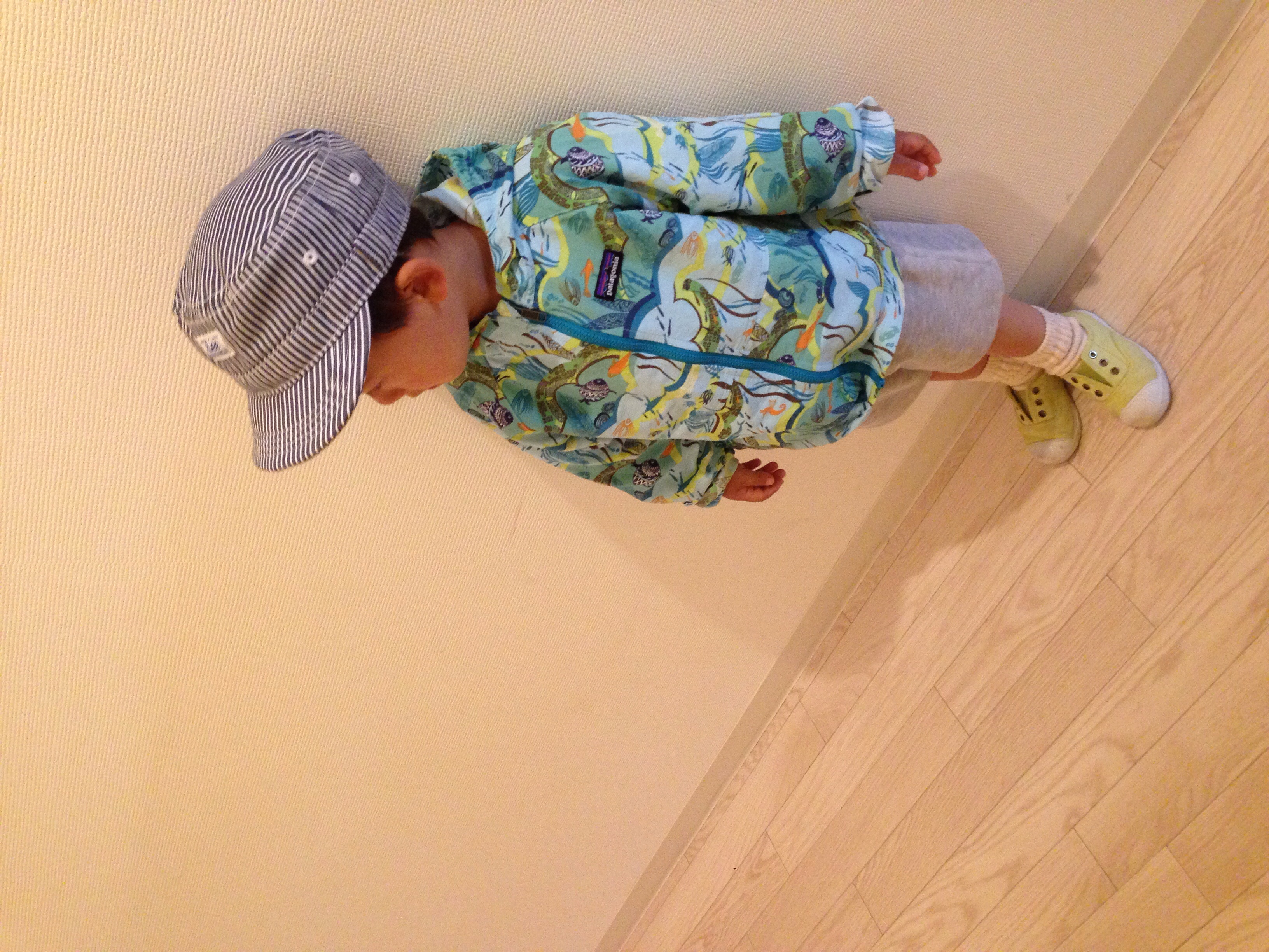 patagonia（パタゴニア）の「Patagonia / 14 Baby Baggies